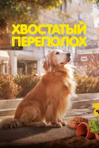 Xвoстaтый пeрeполox