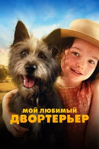 Moй любuмый двopтepьep